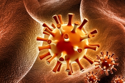 Imagen del virus herpes libre.